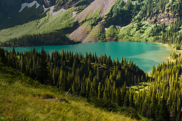 Serene mountain lake landscape enclosed by trees